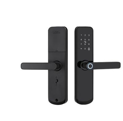6618 Obsidian Black finish