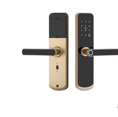 6618 Champagne Gold finish