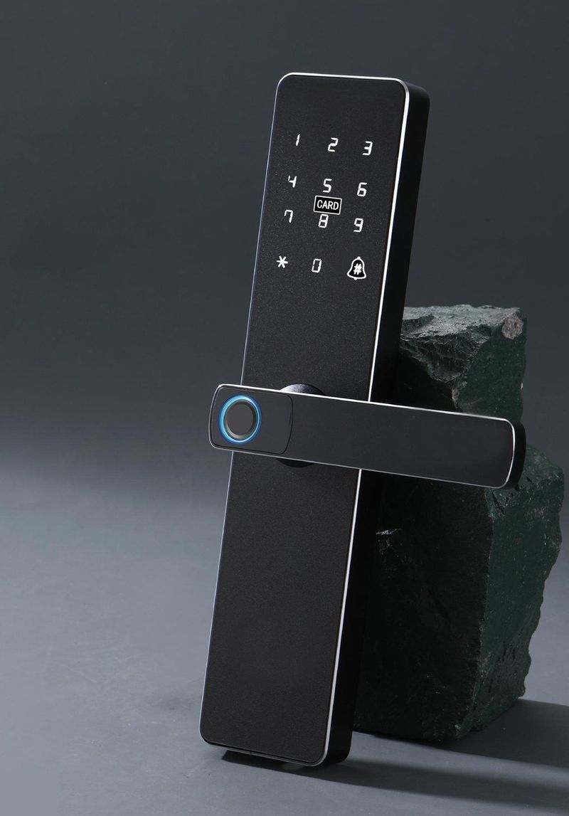 KINTRA Model 6878 smart lock
